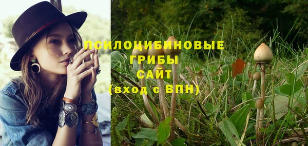 гидра Липки
