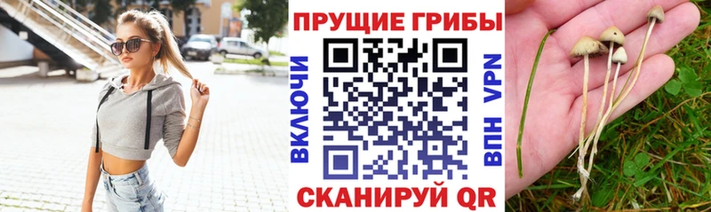 Псилоцибиновые грибы Magic Shrooms гидра зеркало Мегион