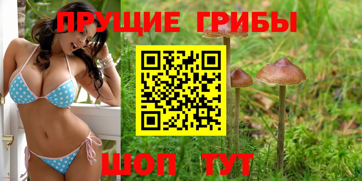 Галлюциногенные грибы мицелий  Псилоцибиновые грибы прущие грибы  что такое   Вход с VPN  Мегион 